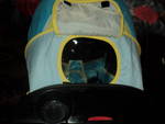 Детска количка Бертони DSC006171.JPG