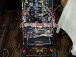 Детска комбинирана количка DSC006271.JPG