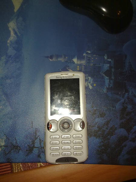 Sony Ericsson W810i 21122010137.jpg Big