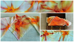 Уникални ръчно рисувани шалове коприна lennyh_FotorCreatedmo.jpg
