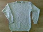 Мъжки пуловер 24102010_005_.jpg