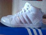 adidas 110213_155508.jpg