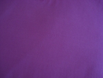 Сладка лилава булзка с къс ръкав SKC09_114.JPG