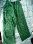!Зелен панталон dessi101_DSCI085.JPG