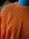 Две чисто нови блузи,оранжева и жълта  по 7 лв. toni69_DSC07622_Custom_.JPG