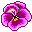 (flower)